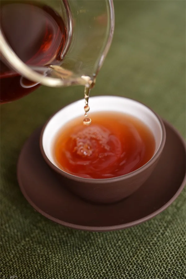 近所の多年草ガーデン、失敗しない始め方と実践コツを経験者が解説