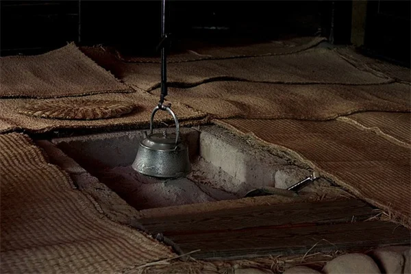 鶏専用の庭が必要な理由と作り方の完全ガイド