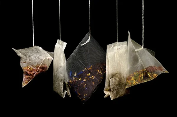 キヌア栽培の失敗しないコツ：害虫・病気の実体験対策