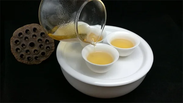 春の球根で苔玉を作ろう！初心者でも失敗しないコツと手順を徹底解説