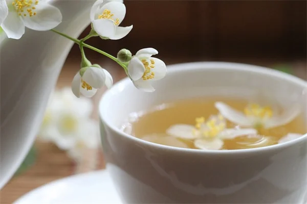 観葉植物の水やりでフローリングを傷めない！5つの簡単な保護方法