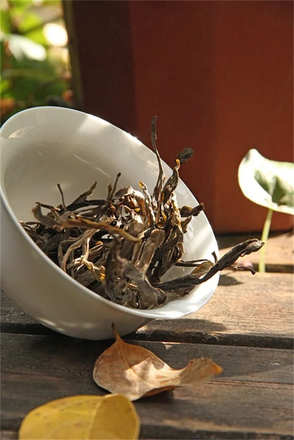 植物の開花時期はどう決まる？光と寒さを感知する驚きの仕組み