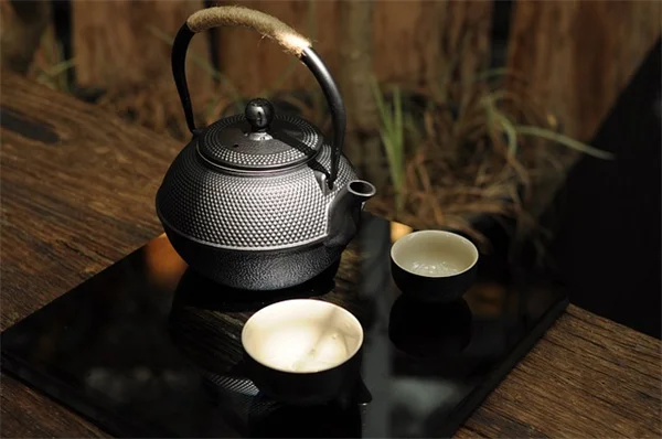 オポッサムは敵じゃない？農家が教える庭の害虫駆除と被害を防ぐ5つのコツ