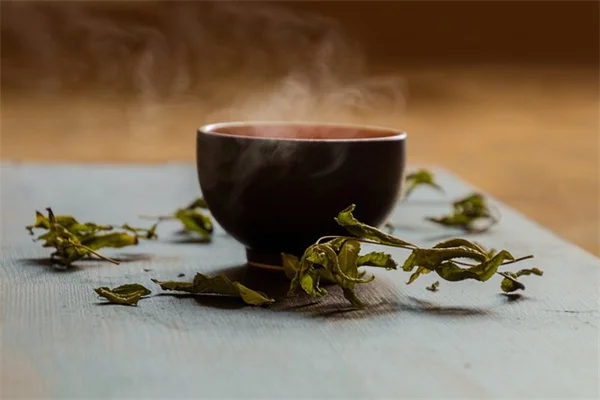 ノックアウトローズの葉が茶色い原因と今すぐできる対処法